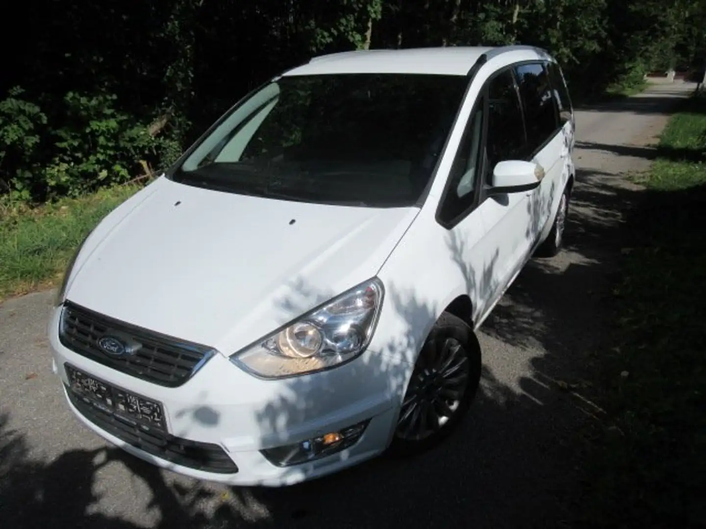 Ford Galaxy Galaxy Business Plus 2,0 TDCi Aut. Business Plus Weiß - 2