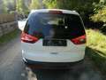 Ford Galaxy Galaxy Business Plus 2,0 TDCi Aut. Business Plus Weiß - thumbnail 4