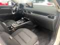 Mazda CX-5 Ad'Vantage G-194 AT mit 360°-Kamera, Navi & HuD Blanc - thumbnail 16