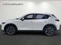 Mazda CX-5 Ad'Vantage G-194 AT mit 360°-Kamera, Navi & HuD Blanc - thumbnail 6
