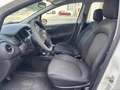 Fiat Punto 1.3 MJT II S&S 85 CV 5 porte ECO Street Blanc - thumbnail 9