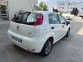 Fiat Punto 1.3 MJT II S&S 85 CV 5 porte ECO Street Blanc - thumbnail 5