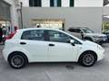 Fiat Punto 1.3 MJT II S&S 85 CV 5 porte ECO Street Blanc - thumbnail 6