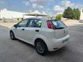 Fiat Punto 1.3 MJT II S&S 85 CV 5 porte ECO Street Blanc - thumbnail 3