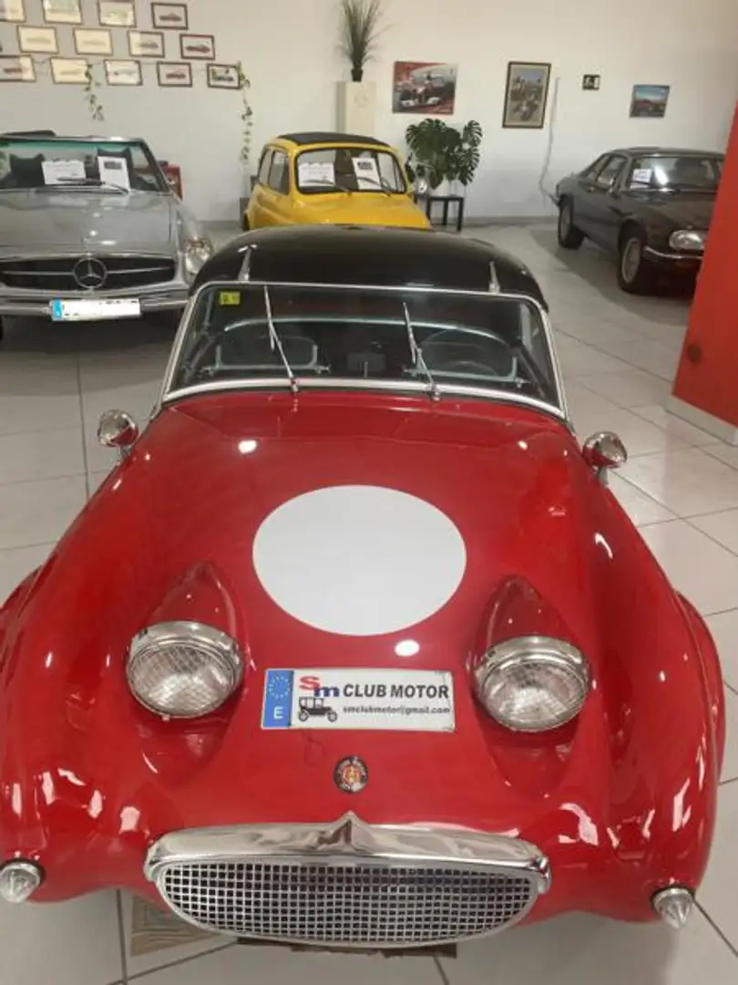 Austin-Healey Sonstige Sprite Mk I (Frosch) - 2