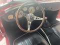Austin-Healey Sonstige Sprite Mk I (Frosch) - thumbnail 9