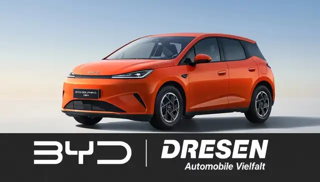 BYD Sonstige