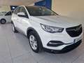 Opel Grandland X 1.5CDTi S&S Edition 130 Blanco - thumbnail 5