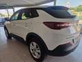 Opel Grandland X 1.5CDTi S&S Edition 130 Blanco - thumbnail 6