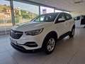Opel Grandland X 1.5CDTi S&S Edition 130 Blanco - thumbnail 1