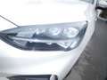 Ford Focus ST-Line  Turnier LED Navi DAB Head-up-Display Blanco - thumbnail 2