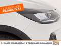 Ford Fiesta active 1.0 ecoboost h 125cv Bianco - thumbnail 14