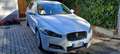 Jaguar XF XF I 2013 SportbrakeSportbrake 2.2d Bianco - thumbnail 1