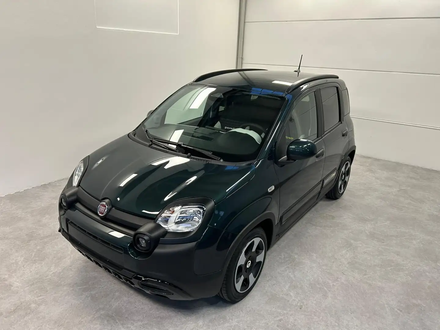 Fiat Panda Panda Cross 1.0 FireFly S&S Hybrid Vert - 2