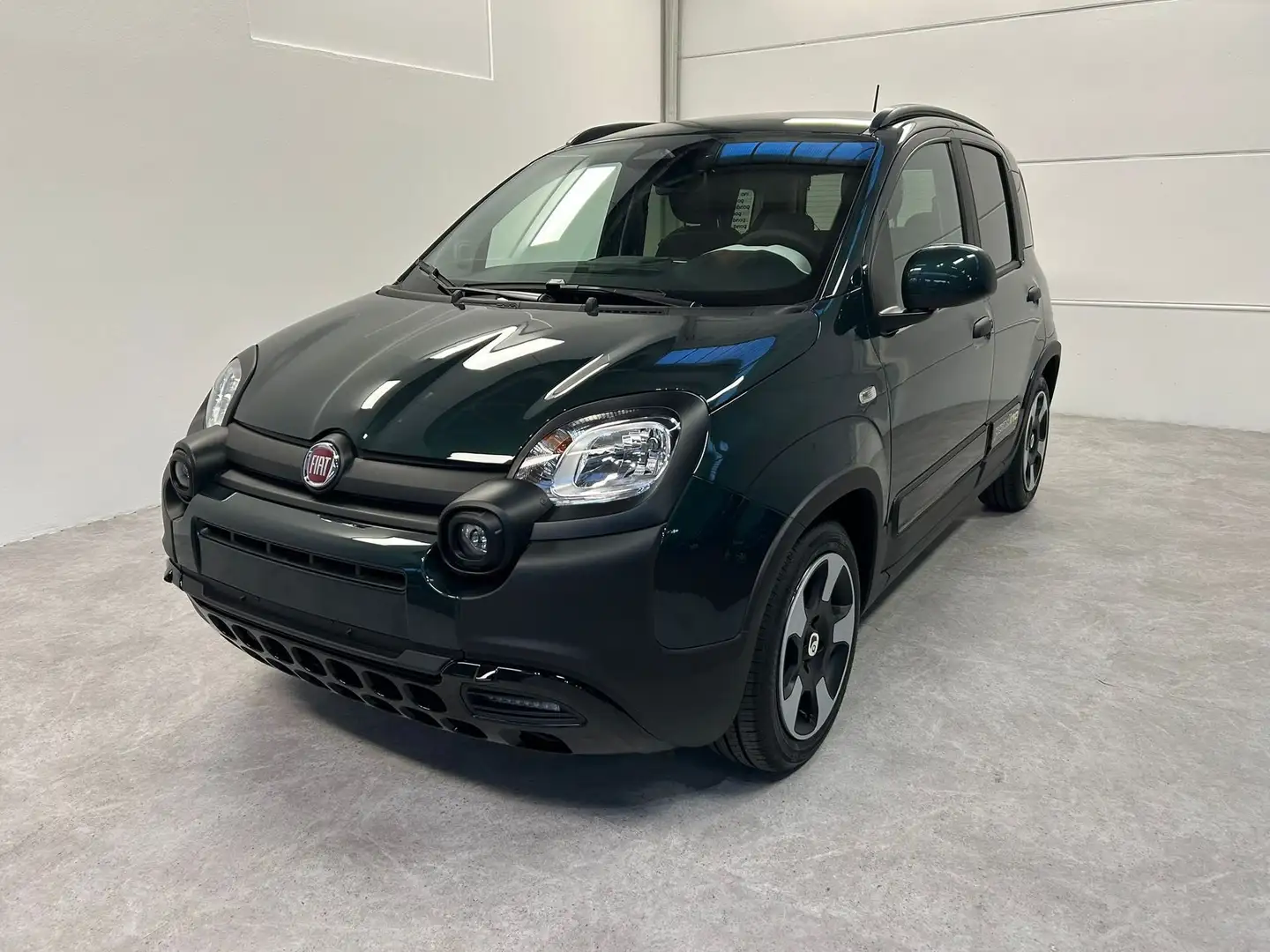 Fiat Panda Panda Cross 1.0 FireFly S&S Hybrid Vert - 1
