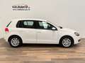 Volkswagen Golf 1.6 TDI 105cv DPF Sport Blanco - thumbnail 4