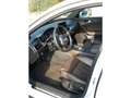 Audi A6 A6 Avant 3.0 V6 tdi 2013 Bianco - thumbnail 5