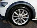 Audi A6 A6 Avant 3.0 V6 tdi 2013 Bianco - thumbnail 8