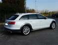 Audi A6 A6 Avant 3.0 V6 tdi 2013 Bianco - thumbnail 10
