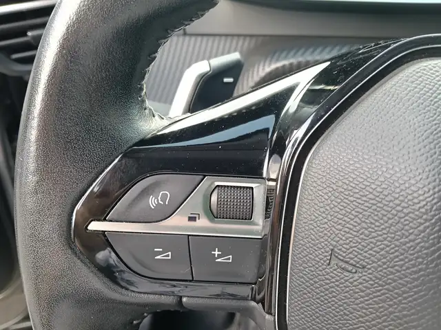 Peugeot 2008 view 19