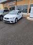 SEAT Ibiza Business  1.6 TDI 95CV SCR DSG Blanc - thumbnail 4