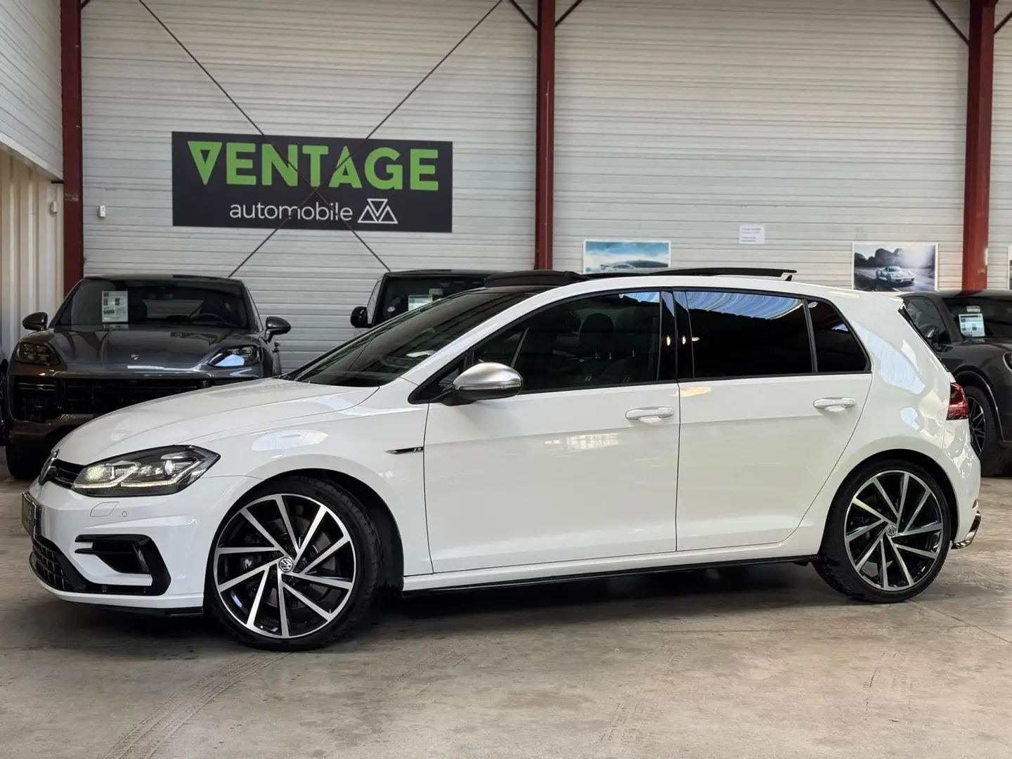 Volkswagen Golf 2.0 TSI 300 DSG7 4Motion R Blanc - 1