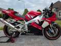 Yamaha YZF-R1 Rouge - thumbnail 12