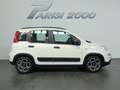 Fiat Panda 1.0 70CV City Life Hybrid *PREZZO PROMO* Wit - thumbnail 6