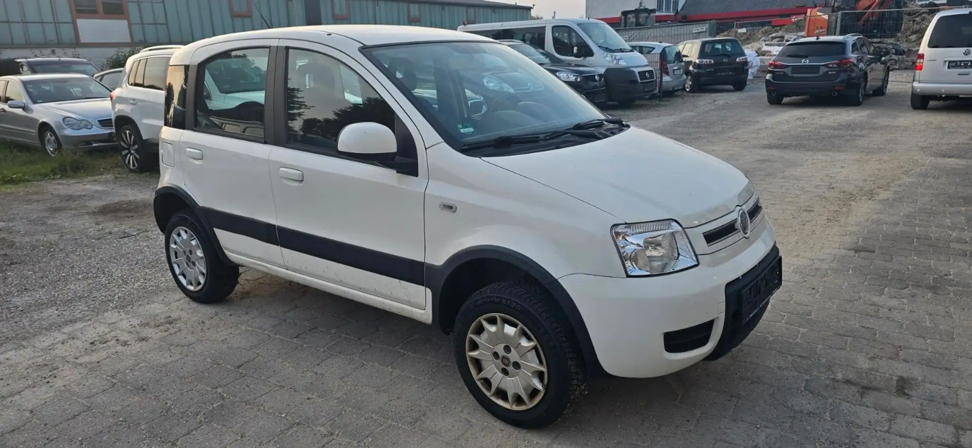 Fiat Panda 1.3 16V JTD Classic 4X4 Weiß - 2