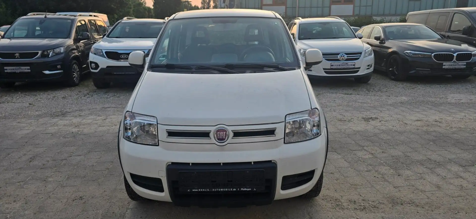 Fiat Panda 1.3 16V JTD Classic 4X4 Weiß - 1