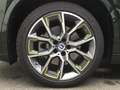 BMW X2 xDrive25e GOLDPLAY+NAVI+KAMERA+ACC+LED+LM19 Vert - thumbnail 23