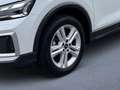 Audi Q2 35 TFSI advanced Aut. NP 45.523.- Weiß - thumbnail 8