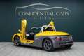 Renault Spider 2.0 | Windshield | JAUNE IRISÉ Gelb - thumbnail 16