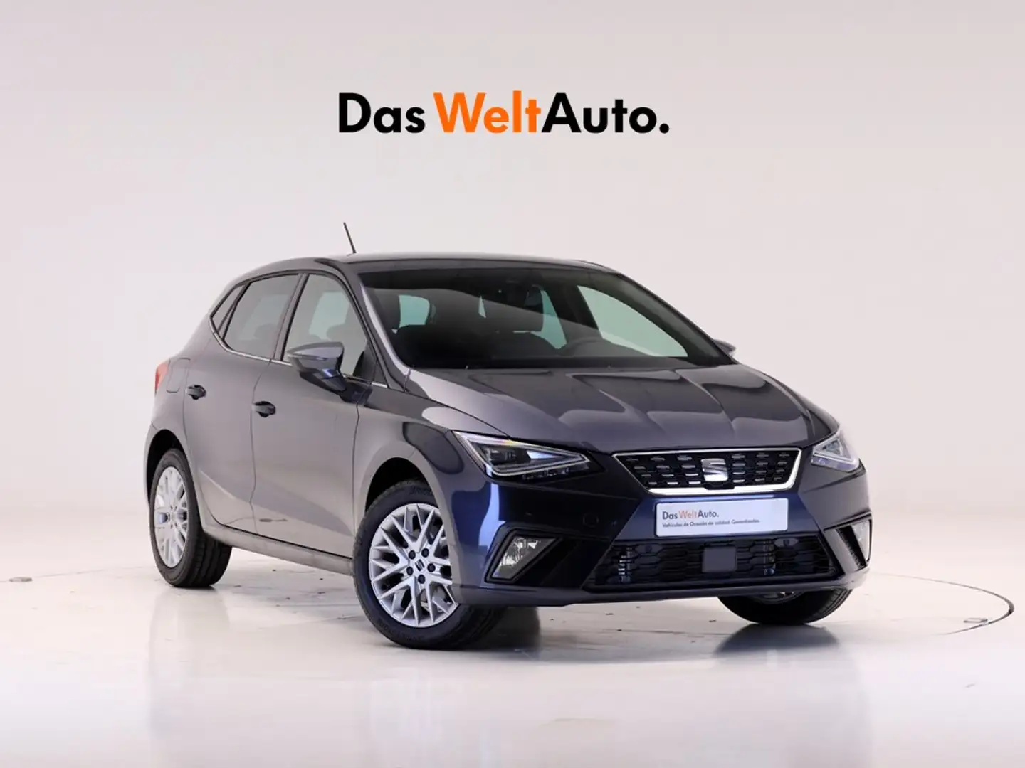 SEAT Ibiza 1.0 TSI 110CV SPECIAL EDITION Grau - 1