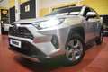 Toyota RAV 4 2.5 hybrid 2WD Luxury Grau - thumbnail 8