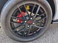 Ligier JS 50 Electric 8kWh Ultimate JETZT NEU! Grau - thumbnail 10
