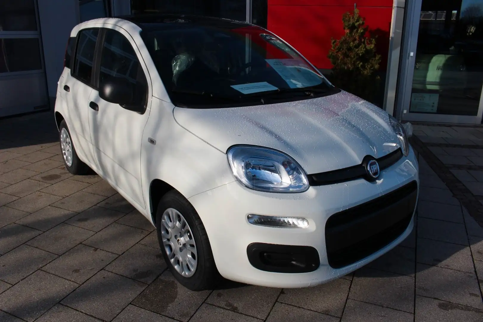 Fiat Panda 1.0 GSE Pandina CITY PAKET/3500.-€PRÄMIE Weiß - 1