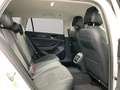 Volkswagen Passat Business (AHK.Sitzheizung.Navi.ACC 2.0 TDI DSG Weiß - thumbnail 8