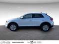 Volkswagen T-Roc 1.0 TSI 110 Start/Stop BVM6 Lounge Argento - thumbnail 7