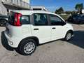 Fiat Panda Panda III 2021 1.0 firefly hybrid s Blanc - thumbnail 14