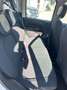 Fiat Panda Panda III 2021 1.0 firefly hybrid s Blanc - thumbnail 9
