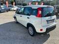 Fiat Panda Panda III 2021 1.0 firefly hybrid s Blanc - thumbnail 13