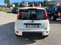 Fiat Panda Panda III 2021 1.0 firefly hybrid s Blanc - thumbnail 10
