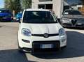 Fiat Panda Panda III 2021 1.0 firefly hybrid s Blanc - thumbnail 16
