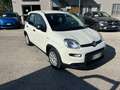 Fiat Panda Panda III 2021 1.0 firefly hybrid s Blanc - thumbnail 15