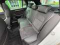 Skoda Superb Combi 1.4 TSI iV Sportline Business / 19"LMV / PAN Wit - thumbnail 16