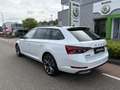 Skoda Superb Combi 1.4 TSI iV Sportline Business / 19"LMV / PAN Wit - thumbnail 7