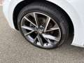 Skoda Superb Combi 1.4 TSI iV Sportline Business / 19"LMV / PAN Wit - thumbnail 11