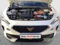 CUPRA Formentor e-HYBRID 204 PS DSG Weiß - thumbnail 29