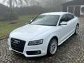 Audi A5 Sportback 3.0TDI SLINE Exterieur Quattro,AHK! Weiß - thumbnail 3